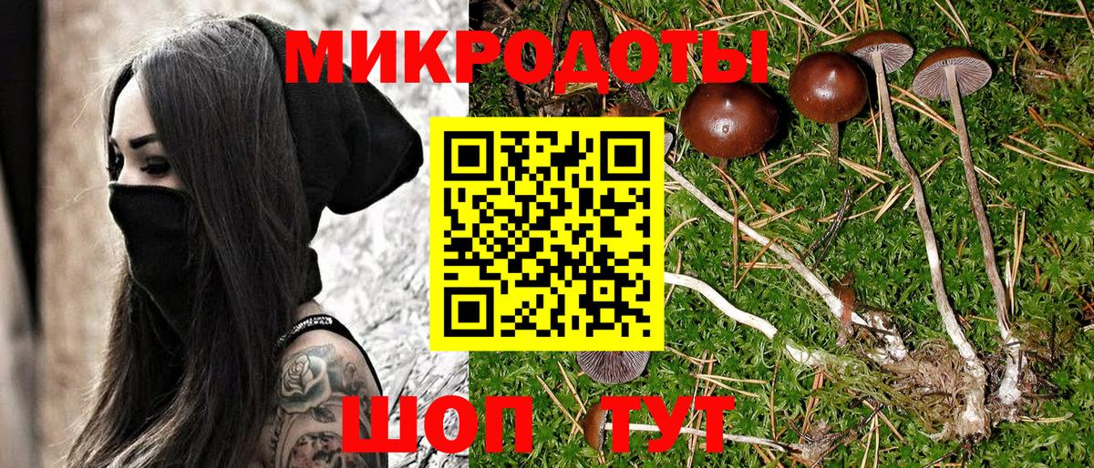Галлюциногенные грибы Psilocybine cubensis Кызыл