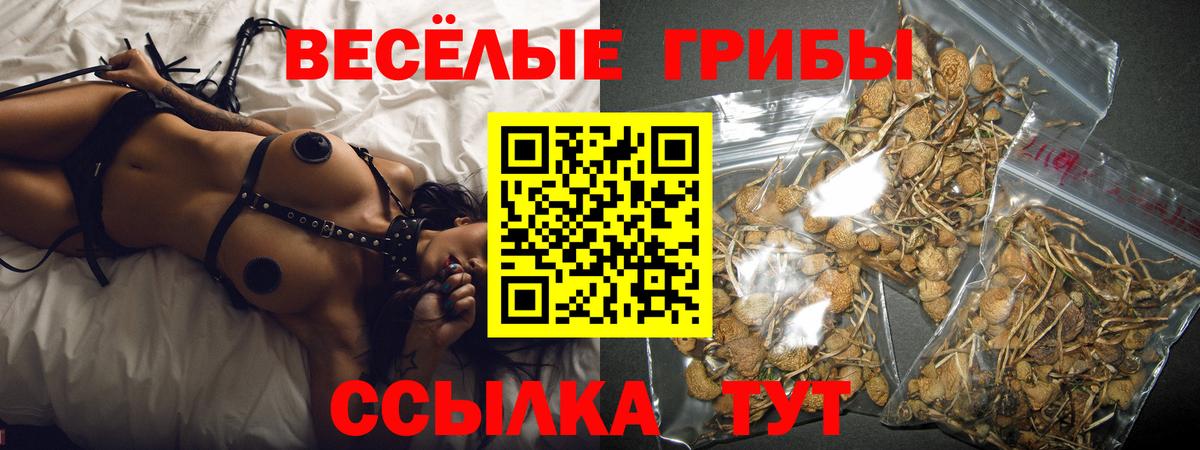 Галлюциногенные грибы GOLDEN TEACHER  Псилоцибиновые грибы Cubensis  Вход с VPN  Кызыл 